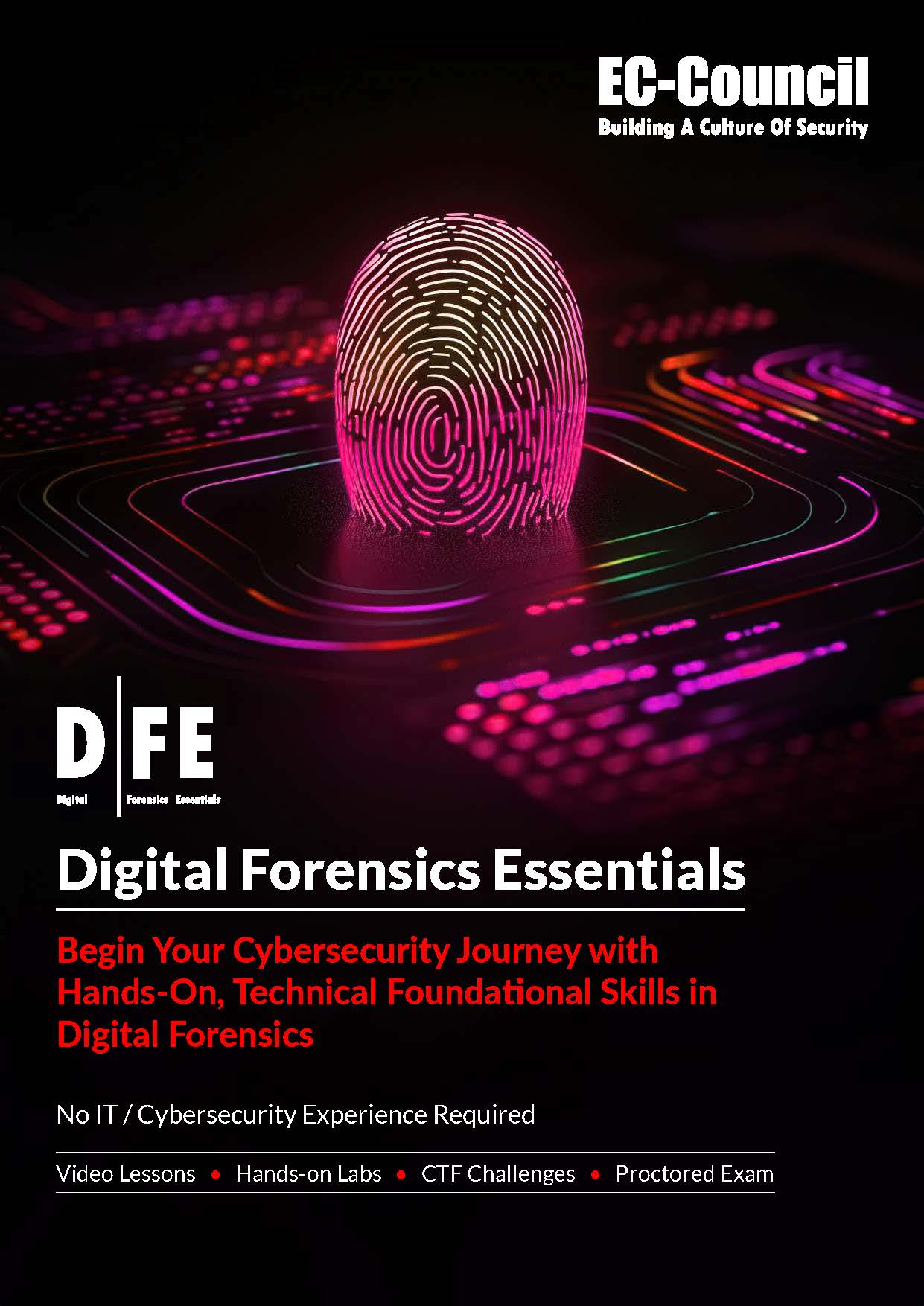 Digital Foresics Essentials (DFE)