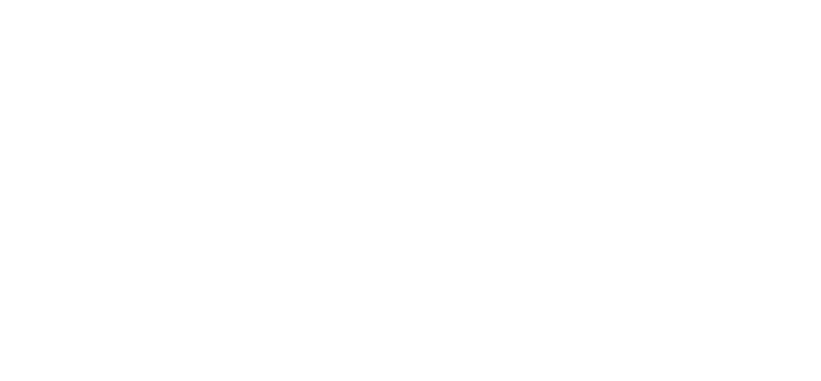 DSE certification